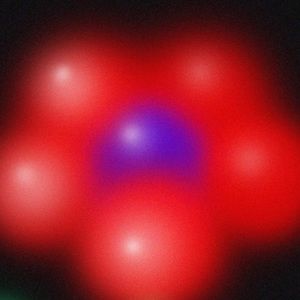 Meet your Posher, Jonah